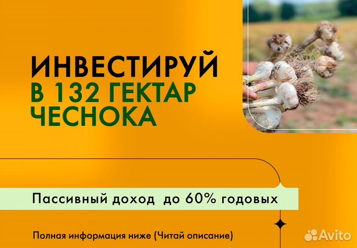 Инвестиции в сельское хозяйство