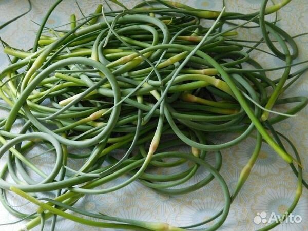 Чесночные стрелки