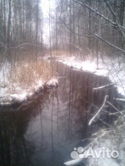 Очистка водоемов