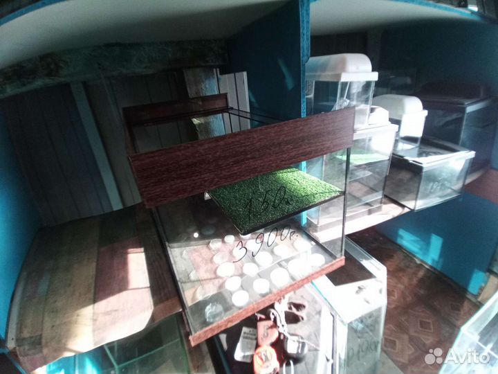 Аквариумы на заказ