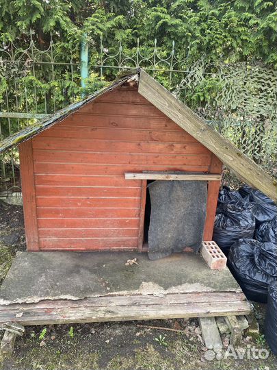 Отдаем собачью будку