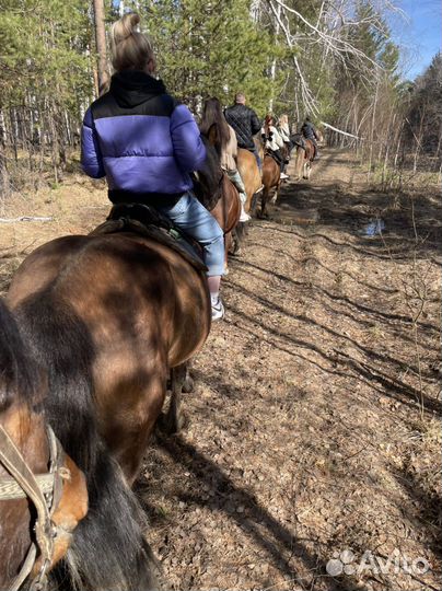 Конный тур в сказочный лес