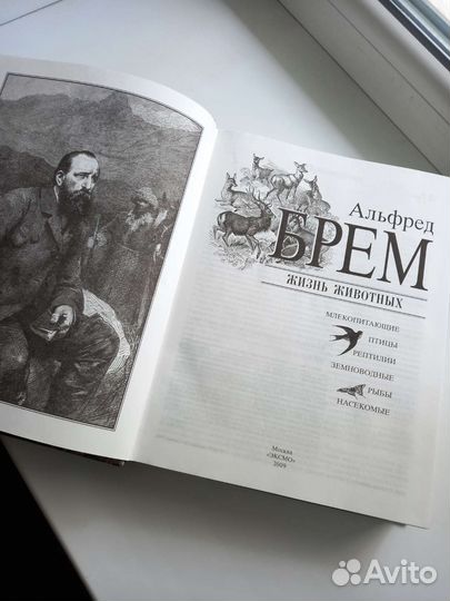 Книга Жизнь животных