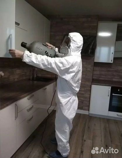 Дезинфекция от тараканов с гарантией