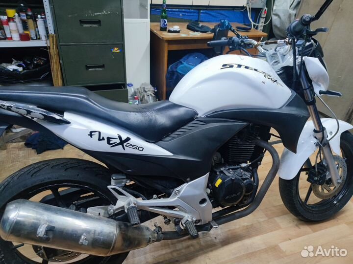 Stels flex 250