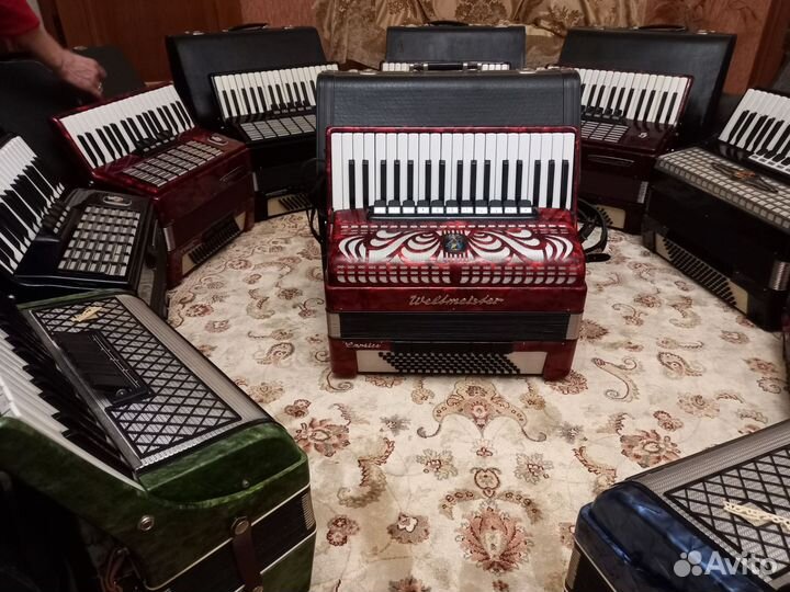 Аккордеон ы
