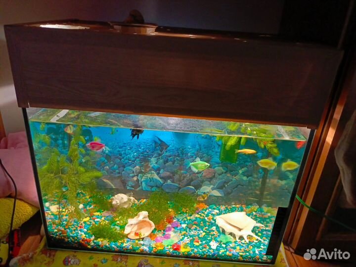 Аквариум