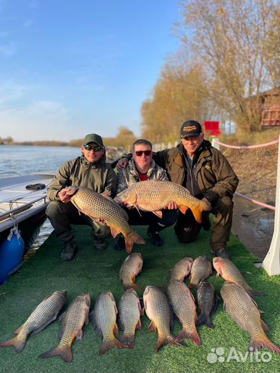 Организация рыбалки и прогулки