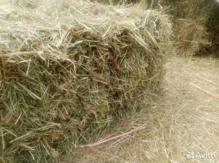 Сено в тюках