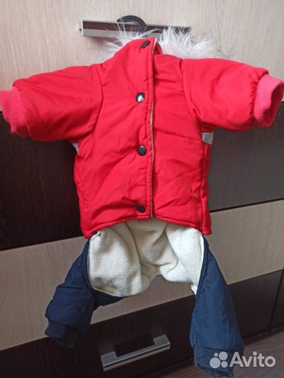 Комбинезоны для собаки зима