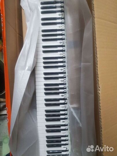 Casio CDP-120 10399791 keyboard TK-RJM511279*001