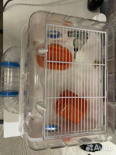 Клетка для грызунов