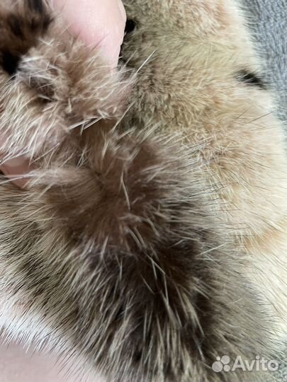 Шапка норковая от Анны Волошко. Эксклюзив