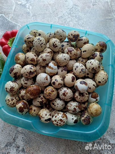Яйца перепелиные