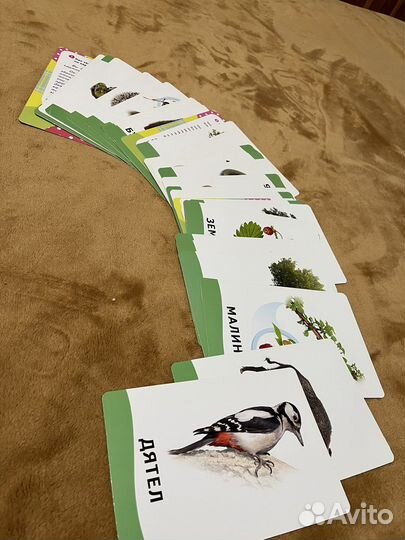 Обучающие карточки для малышей