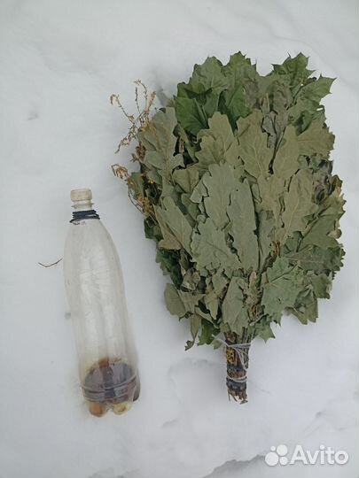 Веники для бани сауны парные