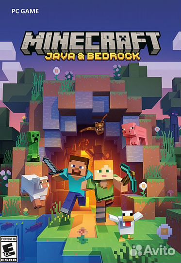 Minecraft: Java & Bedrock edition