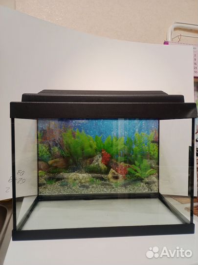 Аквариум 30 л с плоской крышкой