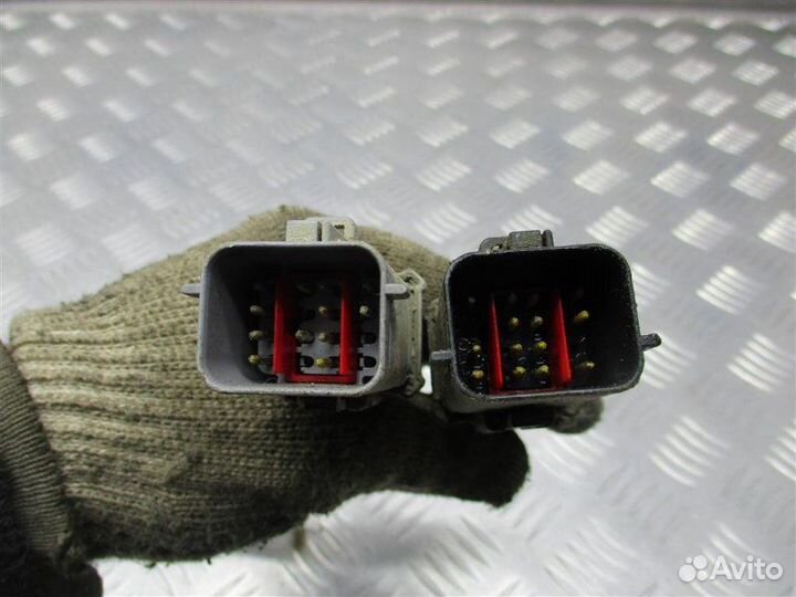 Проводка (коса) эбу Ford Focus 2 1.6 shda 100Л.С