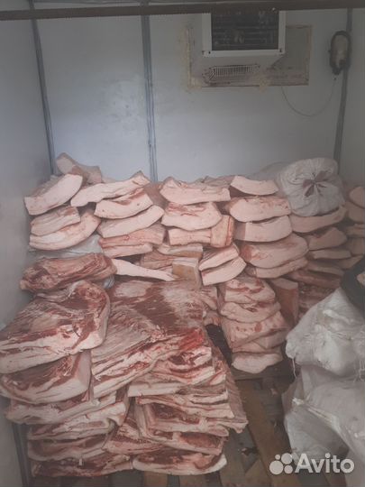 Сало на саление оптом продам
