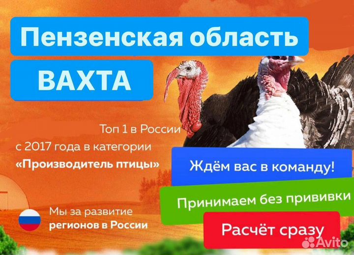 Птицефабрика упаковщик на производстве вахта