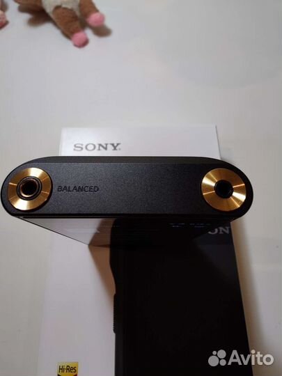Sony walkman NW-wm1am2