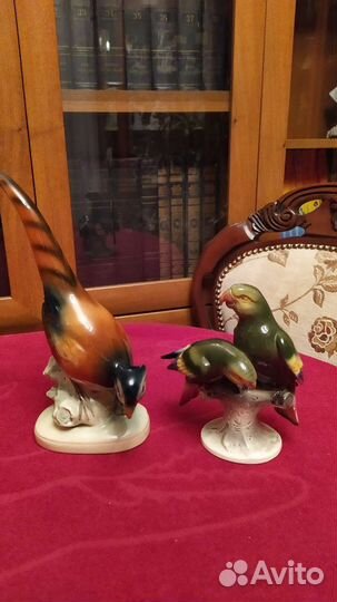 Фарфоровые птицы Фазан и 2 попугая.Германия