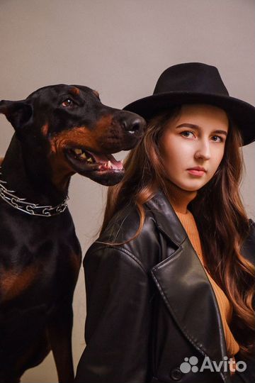 Фотосессия с доберманом
