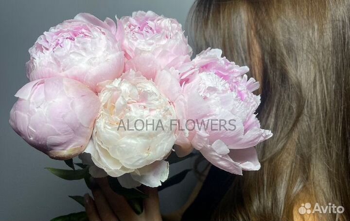 Пионы букет доставка