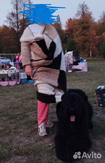 Одеяло из собачьей шерсти вязанное