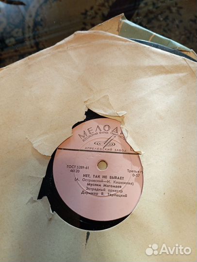 Венилоаые пластинки