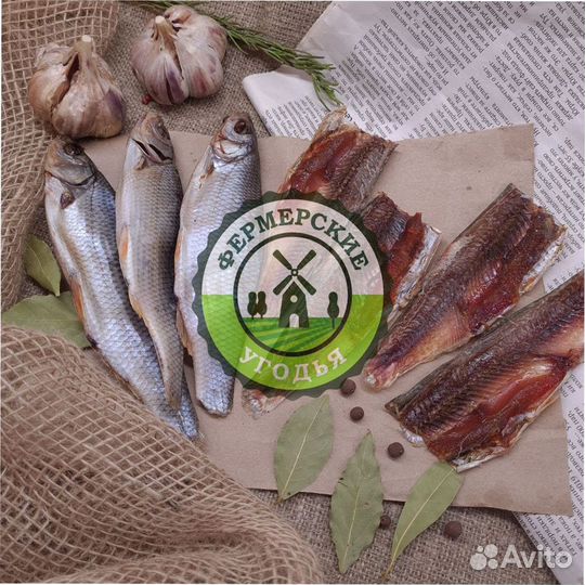 Рыба северная Язь Щука Щекур Мохтик Лещ Сырок