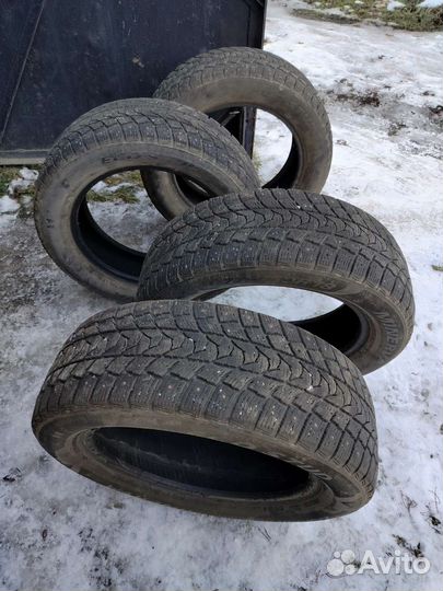 Minerva Eco Winter 225/60 R18