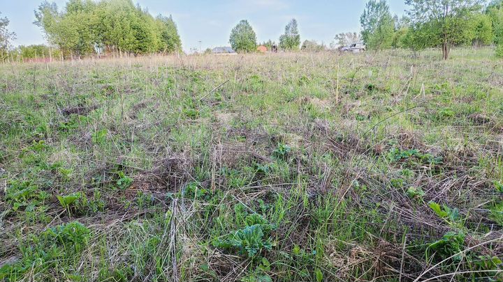 Участок 18 сот. (ИЖС)