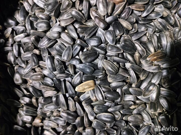 Зерно фураж отходы гречневые и семечки