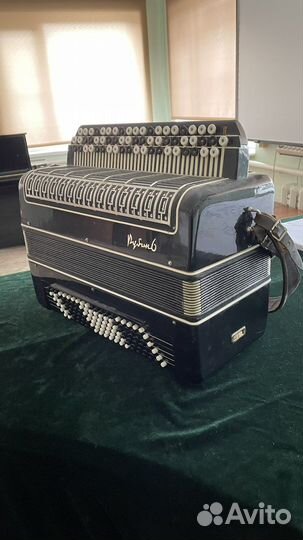 Баян рубин 6