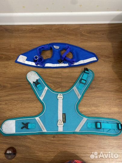 Шлейка для собаки