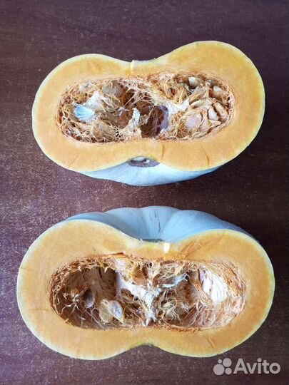 Семена вкусной тыквы Крошка