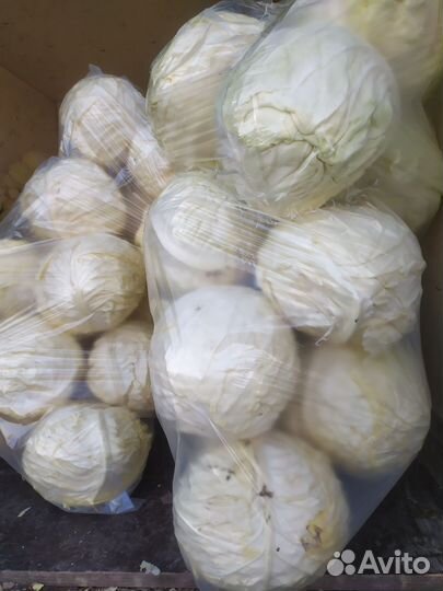 Капуста оптом