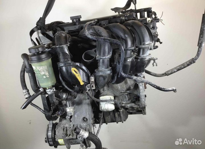 Двигатель (двс) Ford Focus 2 hwda,hwdb, shdb