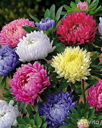 Алмазная картина