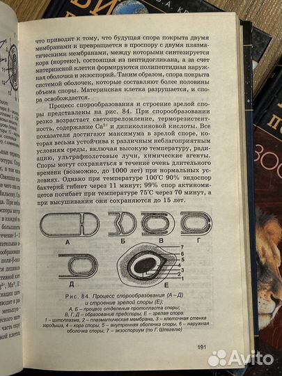 Биология Билич Крыжановский