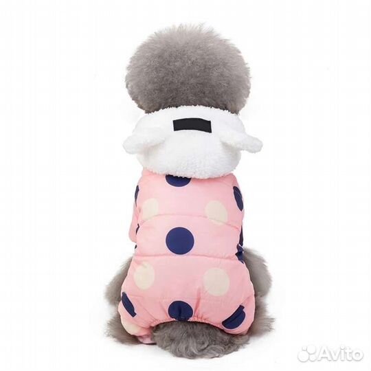 Одежда для собак