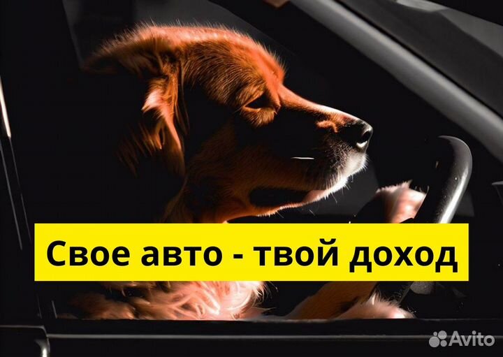 Авто курьер для Яндекс.Такси (18+)