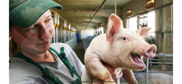 Участок 1,3 га (СНТ, ДНП)