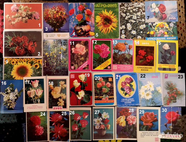 Календарики: цветы, природа, грибы