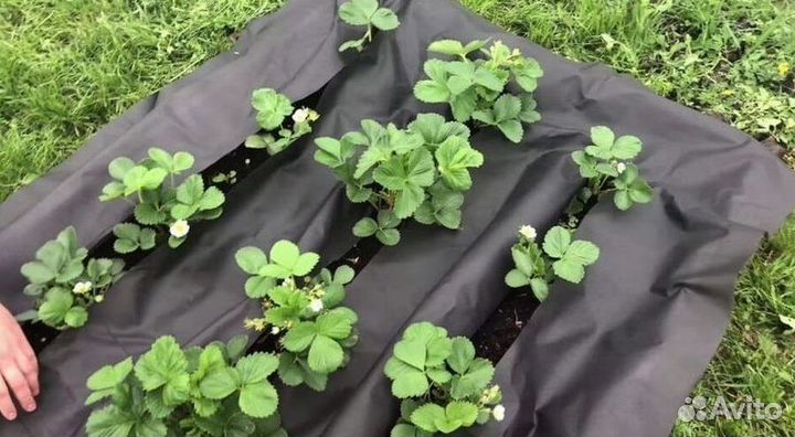 Спанбонд черный 60 г/кв.м