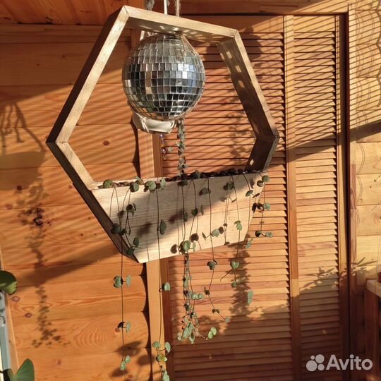 Церопегия в деревянном кашпо