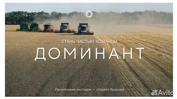 Начальник отдела по работе с персоналом