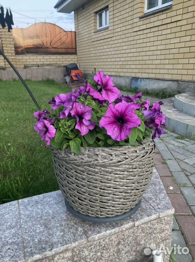 Кашпо для цветов из ротанга